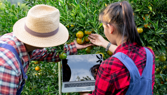 ¿Por qué Localg.a.p. es la clave del éxito en el mercado de productos agrícolas?